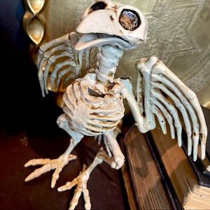 plastic bird skeleton